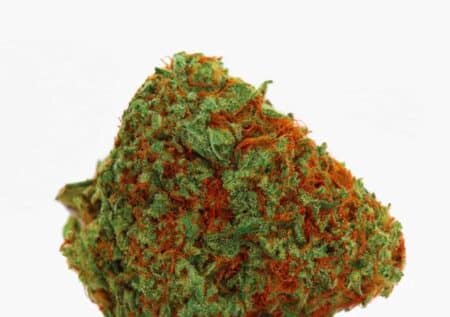 Orange Bud CBD